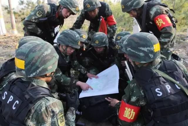 中国人民武装警察部队特种警察学院招考攻略,如何迈向特种警察的殿堂,中国人民武装警察部队特种警察学院招考攻略,迈向特种警察殿堂的指南