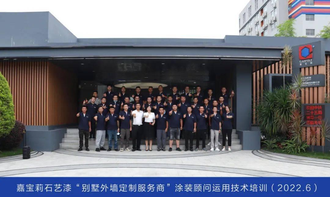 歼15战斗机涂装,探索中国空军新一代舰载战斗机的涂装艺术,中国新一代舰载战斗机歼-15战斗机的涂装艺术探索