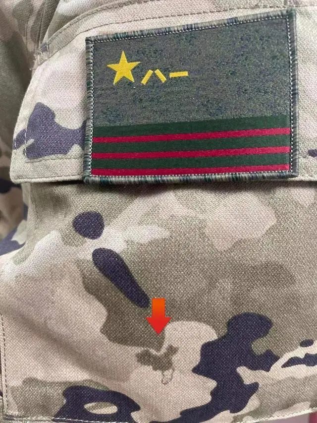 探索与解读，关于21式迷彩图片素材的魅力，揭秘21式迷彩图片素材的魅力与内涵