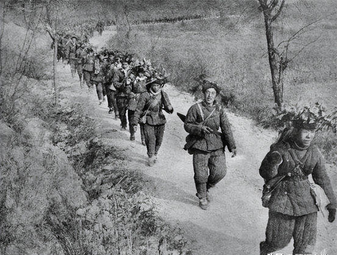 李长林副司令，军事卓越与政治智慧的典范，李长林副司令，军事卓越与政治智慧的典范典范人物风采