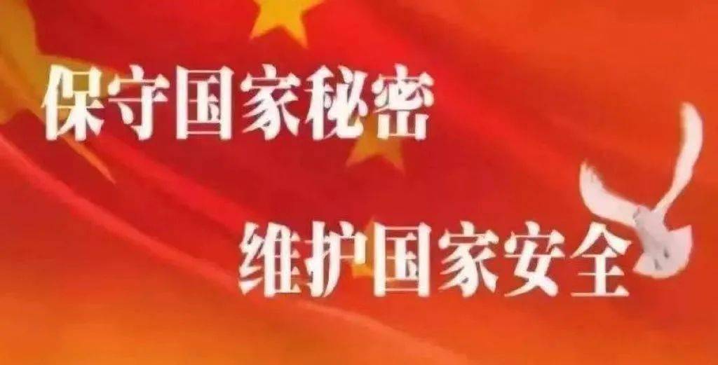 国家不让人民知道的秘密,探究与反思,国家隐秘,探究与反思的议题