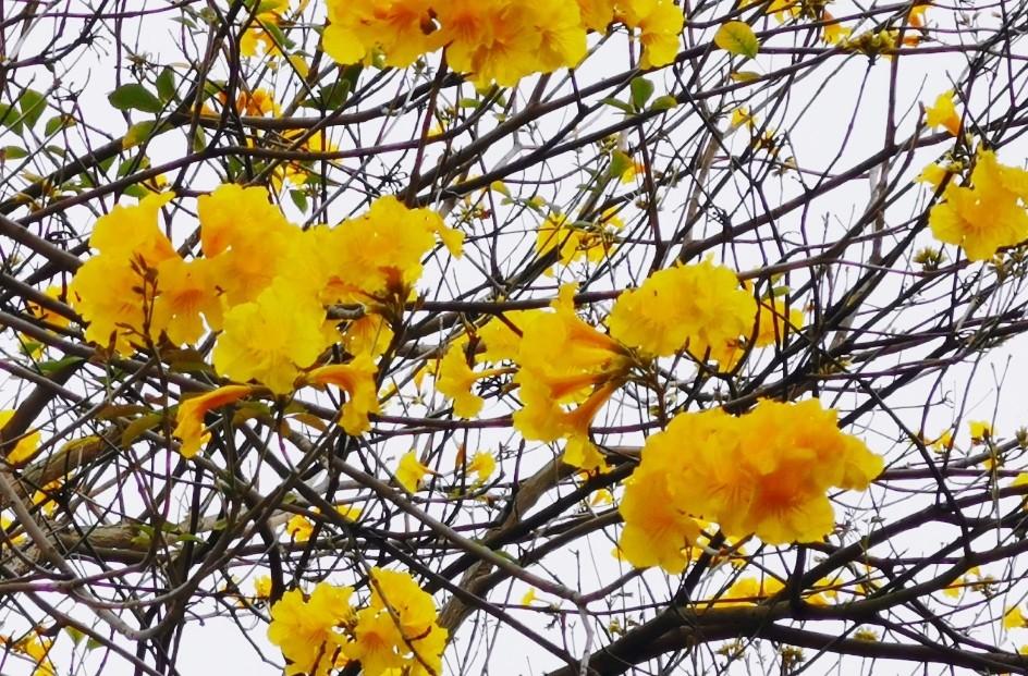 泉州西湖，湖光山色间的历史与人文韵味，泉州西湖，湖光山色间的历史人文韵味之旅