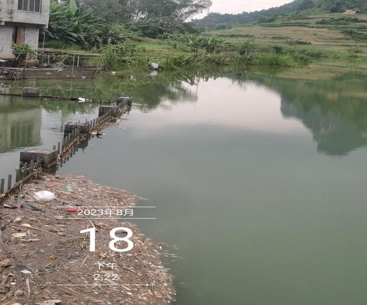 最新消息关于南方锰业的发展动态,南方锰业最新发展动态概览