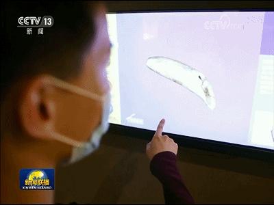 国内新闻大事最新消息概览,国内新闻大事最新消息概览,今日热点一览无余