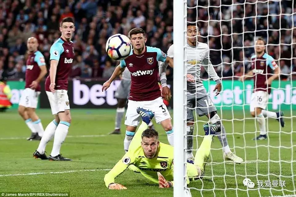 一肖二码连准，揭秘精准预测的魅力，揭秘一肖二码精准预测的魅力，连准无误的预测之道