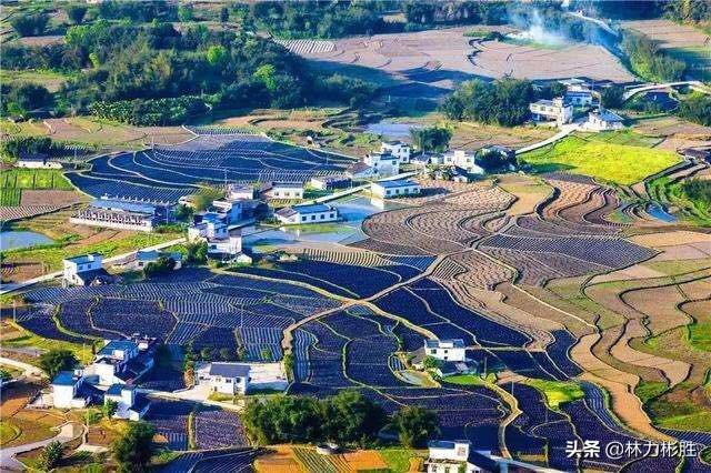 CCTV7改革时刻的回望与前瞻，CCTV7改革时刻的回眸与展望