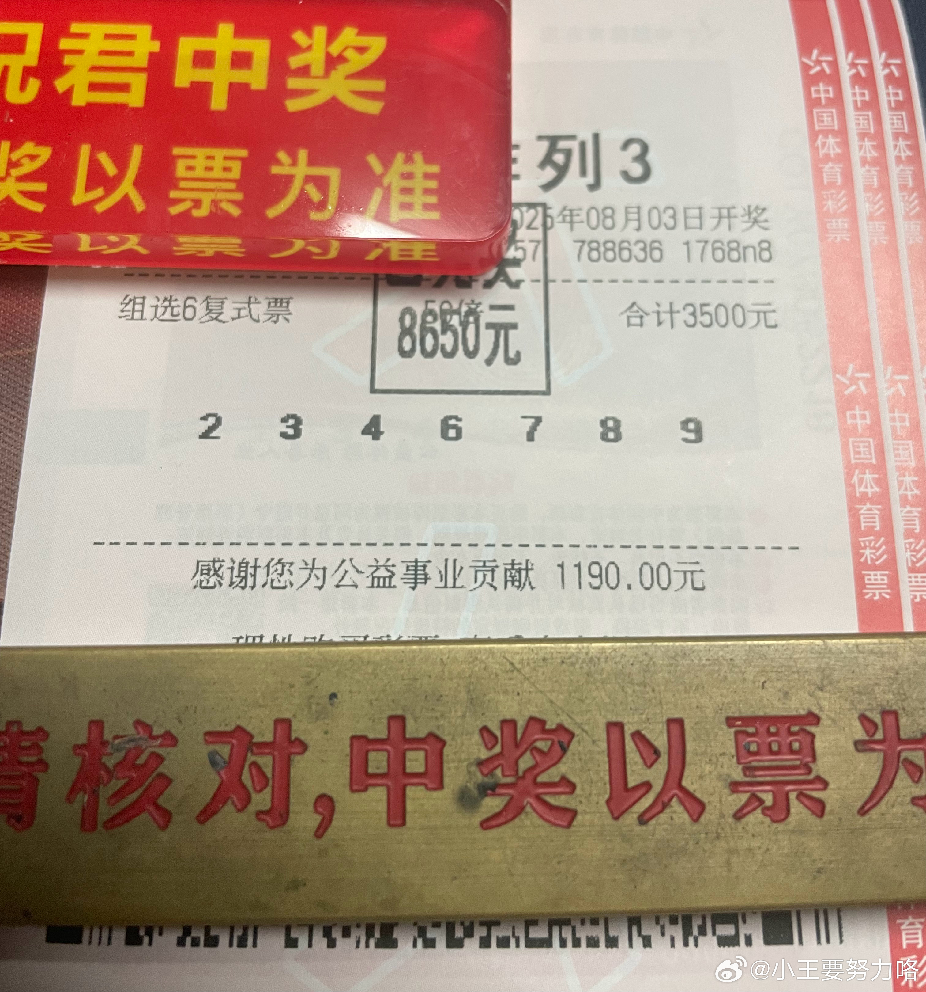 王中王504与肖中特的独特魅力,王中王504与肖中特,独特魅力的展现