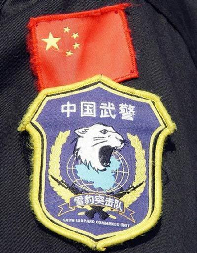 武警雪豹突击队级别解析，武警雪豹突击队级别详解
