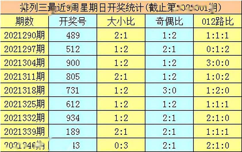 探索数字世界中的奥秘,关于肖十二码的探讨,肖十二码,数字世界中的奥秘探索