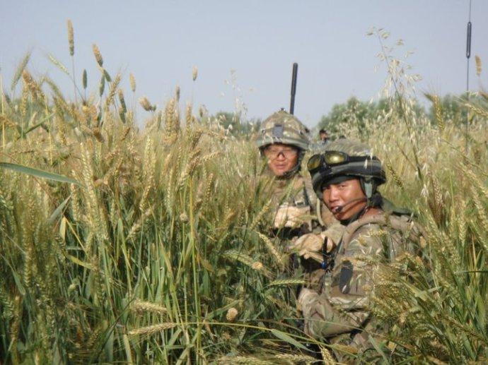 人生第一次当兵纪录片,探寻军旅生涯的起点,人生首次军旅生涯,探寻起点之旅的纪录片