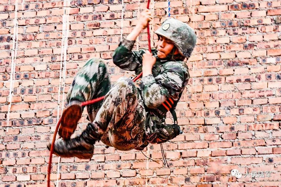 中国陆军第14集团军装备概览,现代化转型与战斗力提升,中国陆军第14集团军装备现代化转型与战斗力提升概览