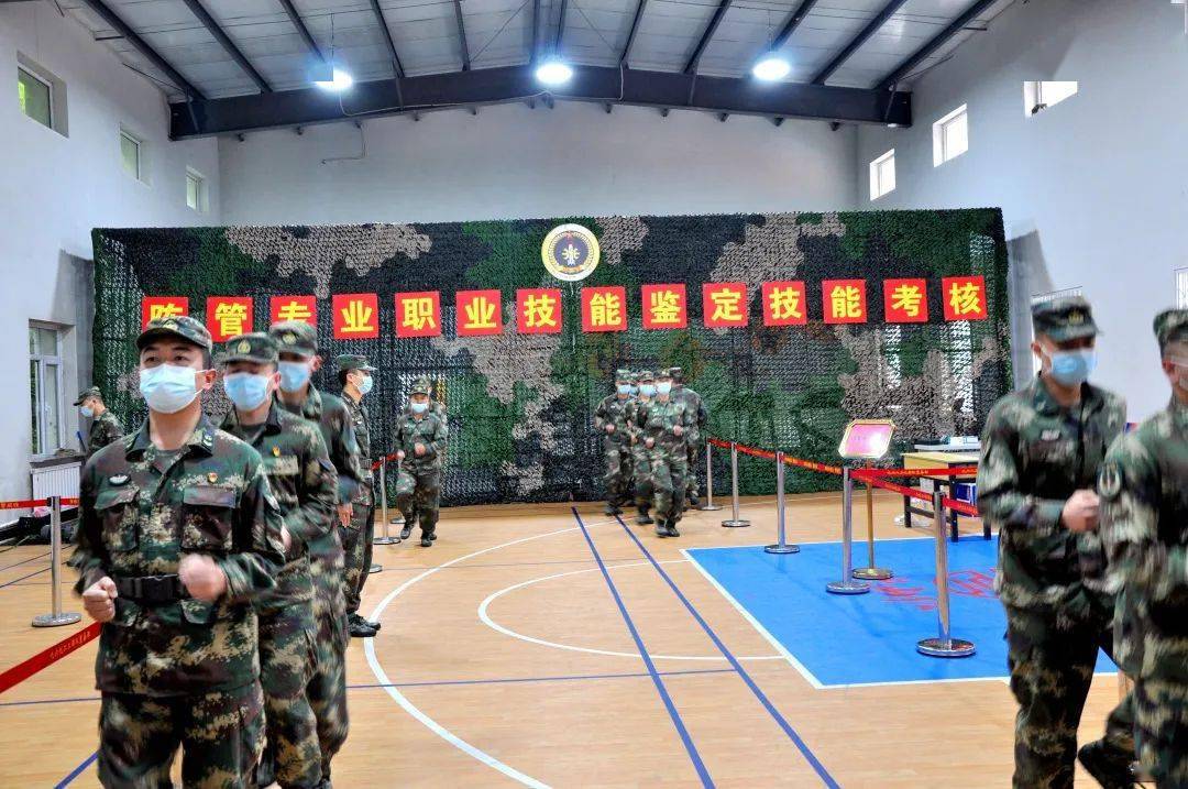 军事综合信息网职业技能鉴定系统研究与应用,军事综合信息网职业技能鉴定系统研究与应用概览