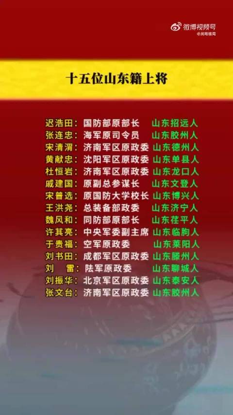 关于山东地区现役上将人数的统计与分析，山东现役上将人数统计与分析报告