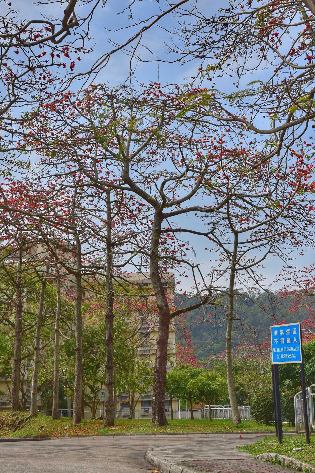 石岗军营与关隘之近,历史地理视角下的考察,历史地理视角,石岗军营与关隘之近考察