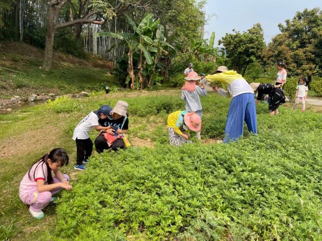 广东湛江，航空母舰的驻足之地，广东湛江，航空母舰驻足的港口