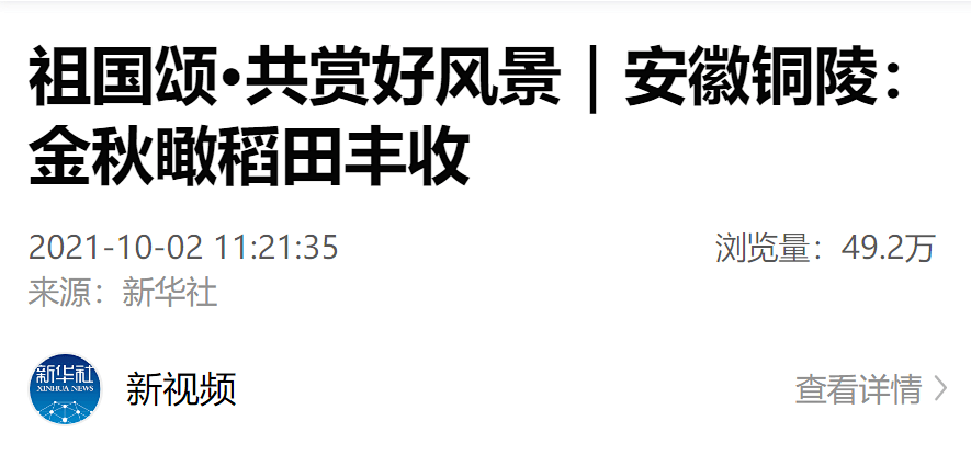 今日的新闻头条,精选十条简短新闻报道,今日新闻头条精选,十条简短新闻报道汇总