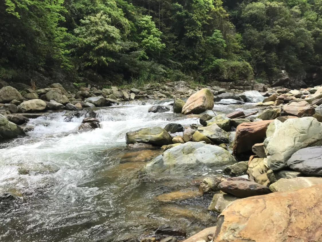 天涯杂谈论坛，网络言论的繁华与深思，天涯杂谈论坛，网络言论的繁华背后引人深思