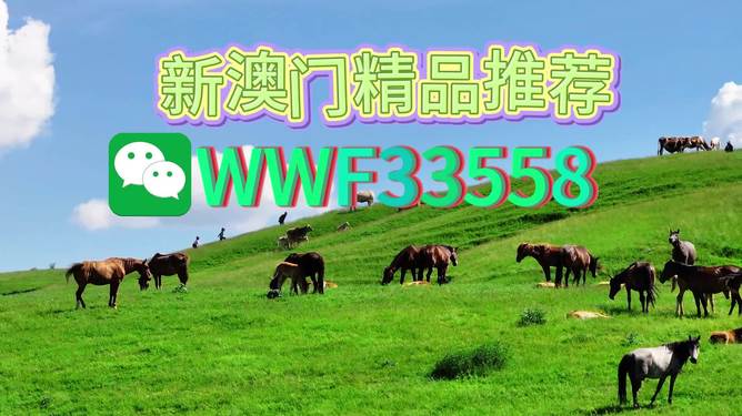 揭秘彩票背后的神秘数字,精准预测一肖的奥秘——以数字77777与88888为例,揭秘彩票神秘数字,揭秘预测精准一肖背后的秘密——以数字77777与88888为例