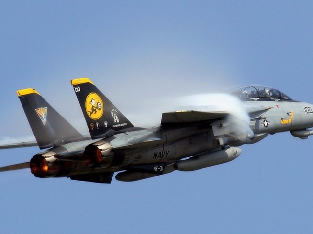 美国雄猫战机,传奇与荣耀的象征,美国雄猫战机,传奇与荣耀的象征之巅