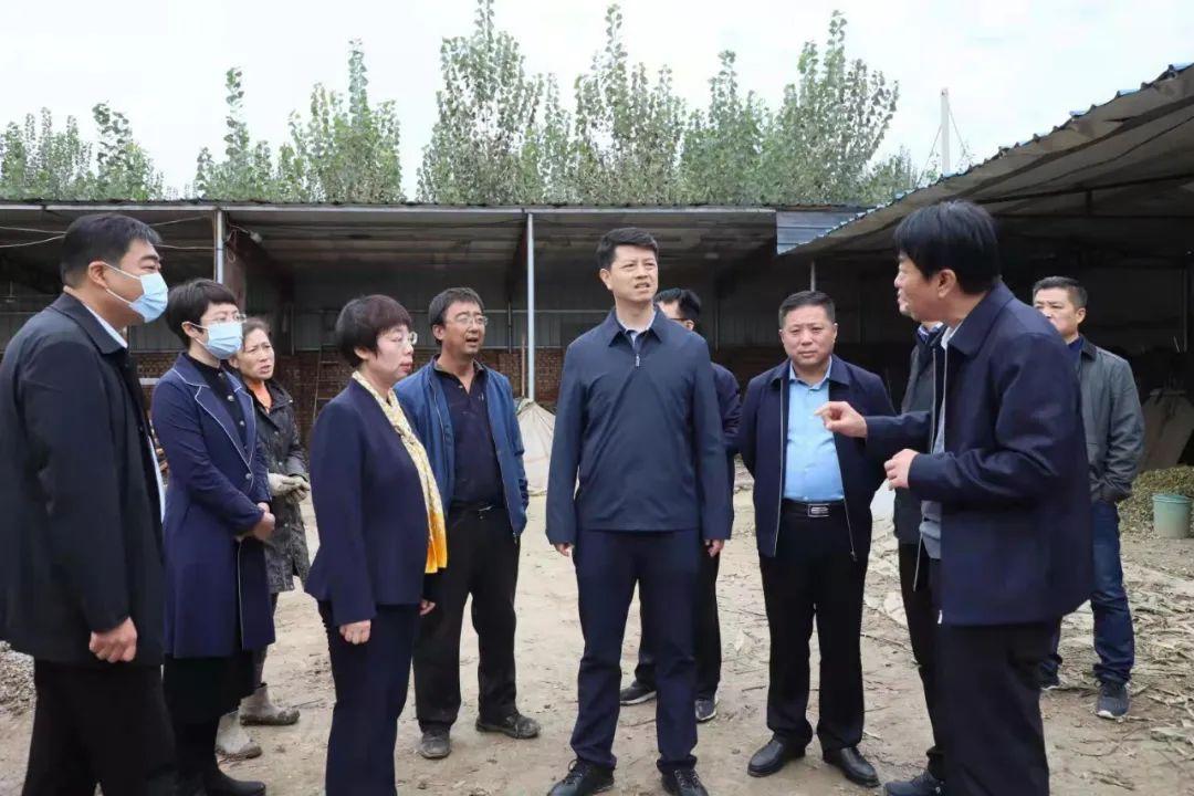 今日头条新闻APP下载与安装——手机版使用指南,今日头条新闻APP手机版下载、安装及使用指南