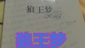 肖思远事迹,一个时代的楷模与典范(3000字),肖思远事迹,时代楷模的典范风采(深度解析)