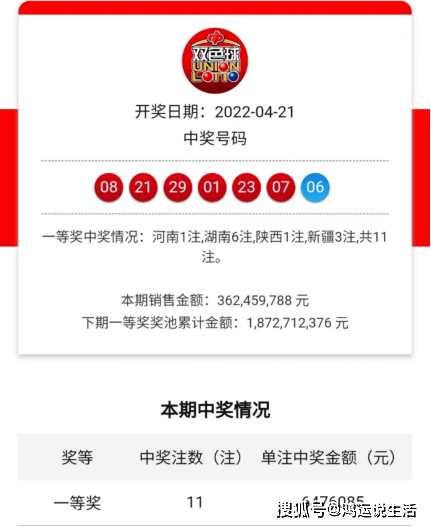 王中王一肖中特开奖结果——深度分析与观察,王中王一肖彩票开奖结果深度分析与观察