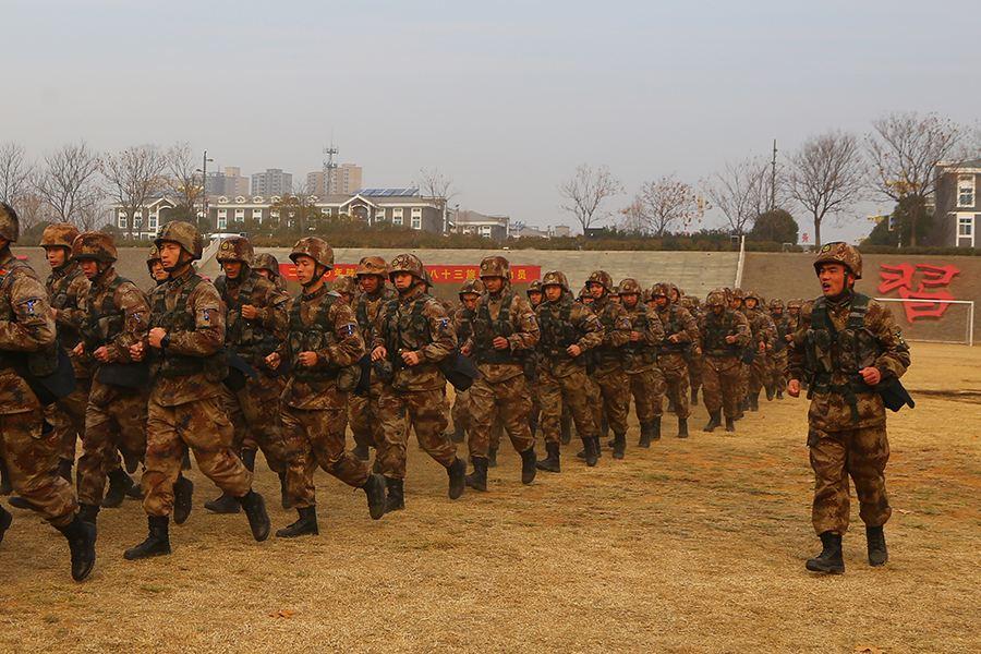 中国部队番号与代号,透视五大战区的力量架构,中国五大战区力量架构深度解析,部队番号与代号透视