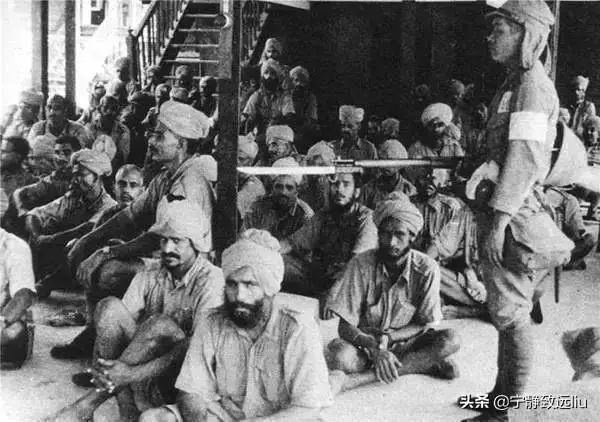 中国士兵投降印度,历史背后的反思与启示,中国士兵投降印度事件,历史反思与启示