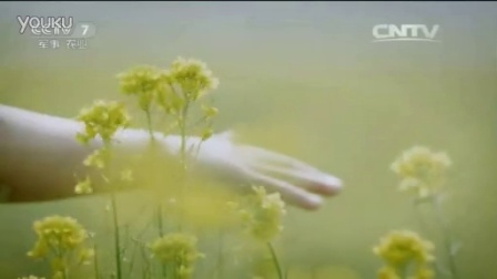 CCTV7与寒露之美的交融，CCTV7展现寒露之美，文化与自然的和谐交融