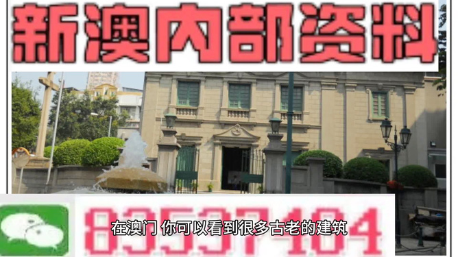 新奥精准，免费提供澳门市场深度洞察与策略建议，澳门市场深度洞察与策略建议（新奥精准免费提供）