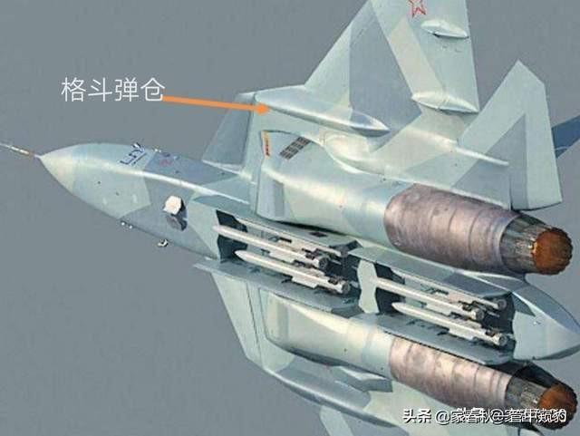 设计与功能解析