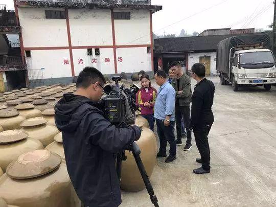 央视七套女主持人风采展示,央视七套女主持人魅力风采展示