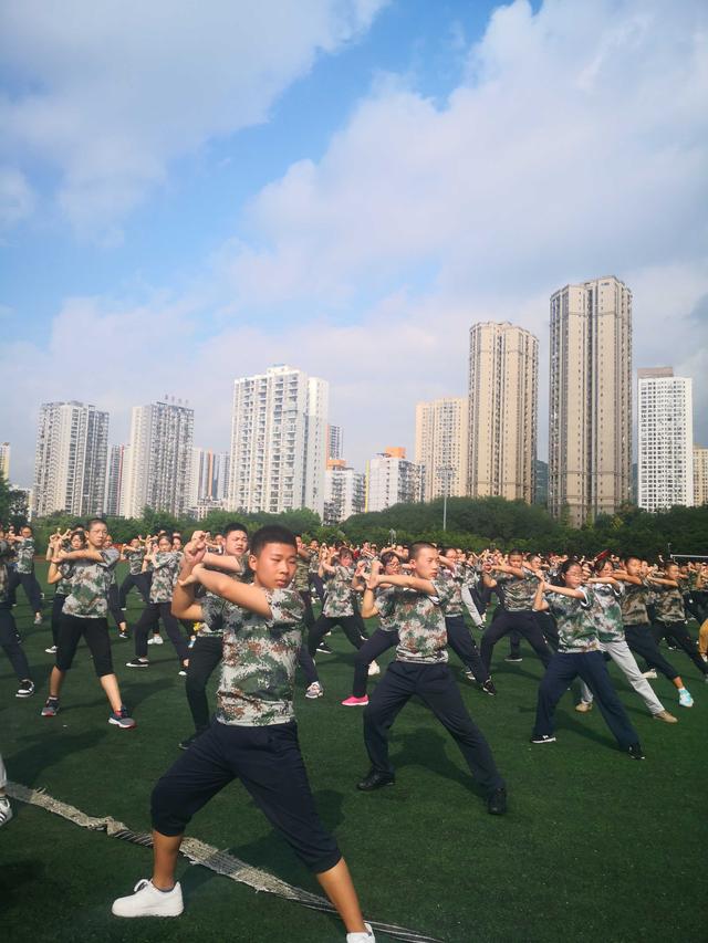 南岸区人民武装部官网,信息化时代的国防建设与服务创新,南岸区人民武装部官网,信息化时代的国防建设与服务创新探索