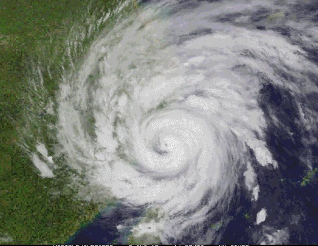 美国级和黄蜂级，两大舰队的骄傲与力量象征，美国级与黄蜂级舰队，力量的象征与骄傲的体现