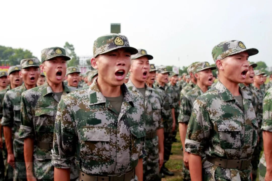 打仗时新兵的角色与运用策略，新兵角色与策略运用，战争中的关键要素分析