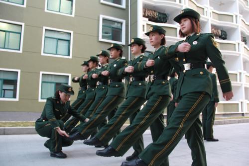 士官改革及其深远影响,揭秘改革发生的年份,揭秘士官改革及其深远影响,改革发生的年份解密