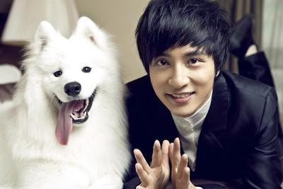 今日新闻,车祸事件震惊社会,今日车祸事件震惊社会引发广泛关注