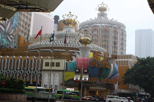 葡京王中王一肖中特，探索神秘世界的独特魅力，葡京王中王一肖，神秘世界的独特魅力探索