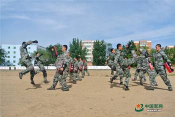 北京卫戍区某警卫师的使命与荣耀,北京卫戍区警卫师的使命担当与荣耀历程