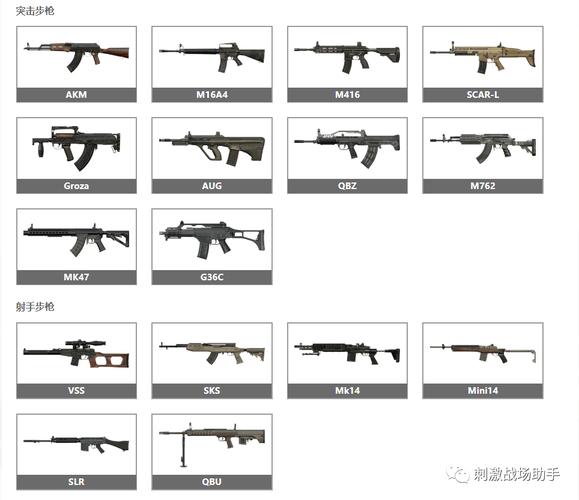 枪械大全介绍，从古代火器到现代精密武器的演变，古代火器与现代精密武器演变，全面解析枪械发展史