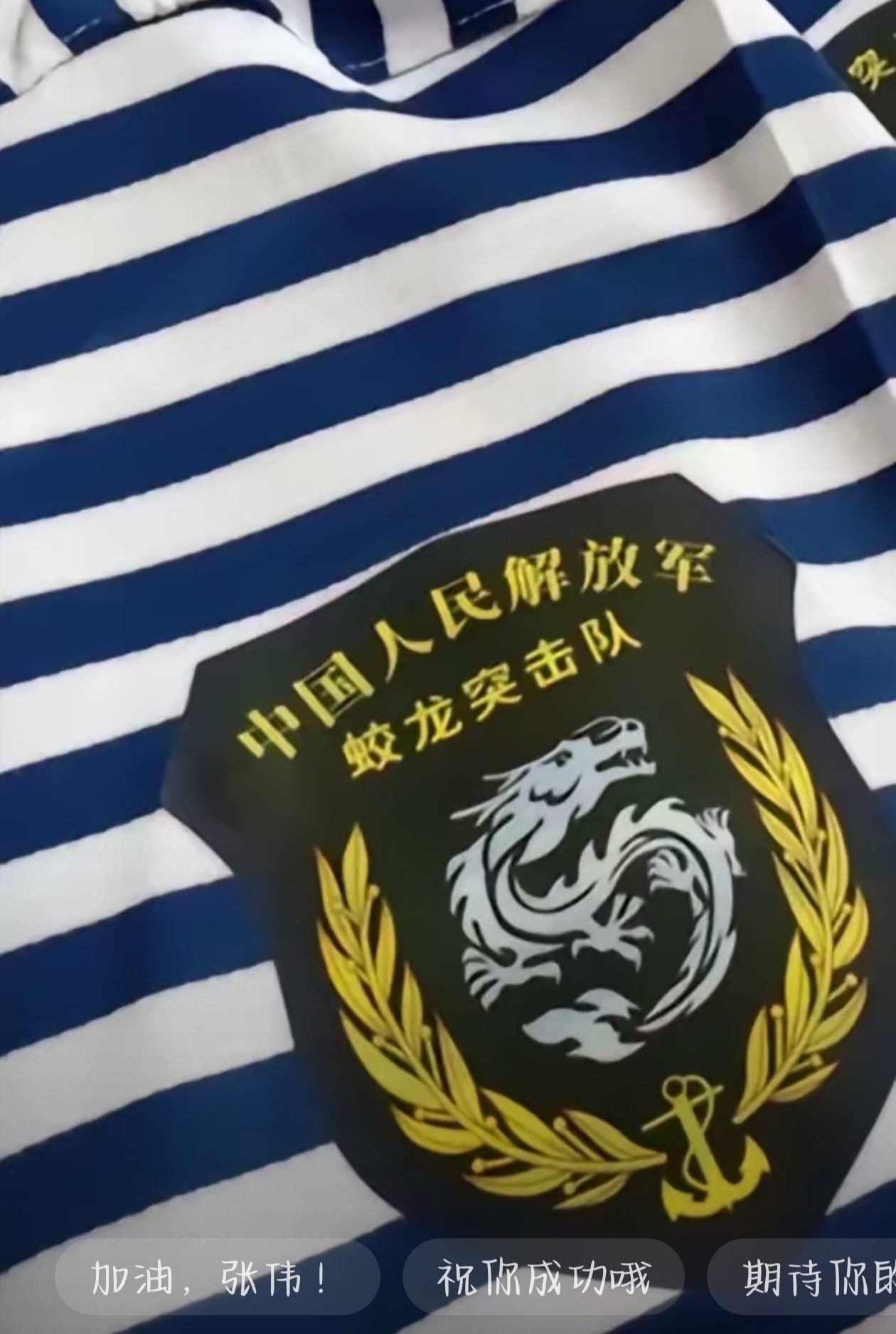 蛟龙突击队91128,铁血荣耀的传奇之旅,蛟龙突击队91128,铁血荣耀的传奇征程