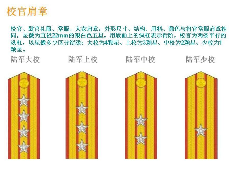 空军肩章图片,揭示荣誉与职责的象征,空军肩章图片,荣誉与职责的象征揭秘