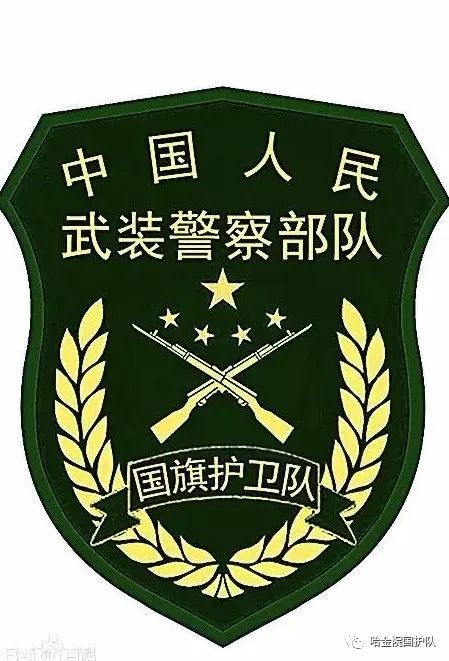 国宾护卫队标识,荣耀与责任的象征,国宾护卫队标识,荣耀与责任的象征标志