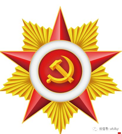 中国五大军种徽章图片及其象征意义,中国五大军种徽章图片与象征意义解读