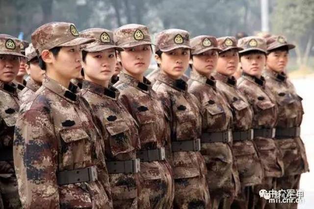 西南军区十四集团军前身的历史沿革与变迁,西南军区十四集团军前身的历史沿革与演变之路