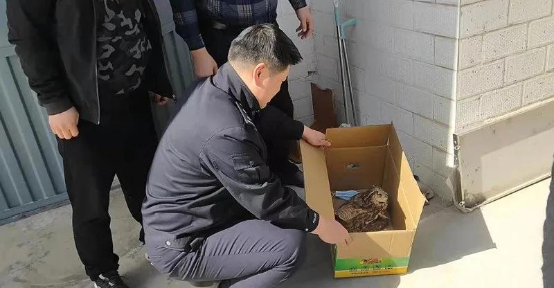 头条热搜今日热门事件深度解析,今日头条热搜热门事件深度剖析