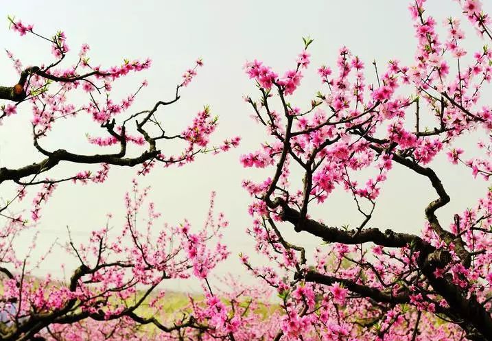 军转论坛推荐,聚焦军事转型,共谋未来发展,军事转型论坛聚焦,共谋未来发展之路