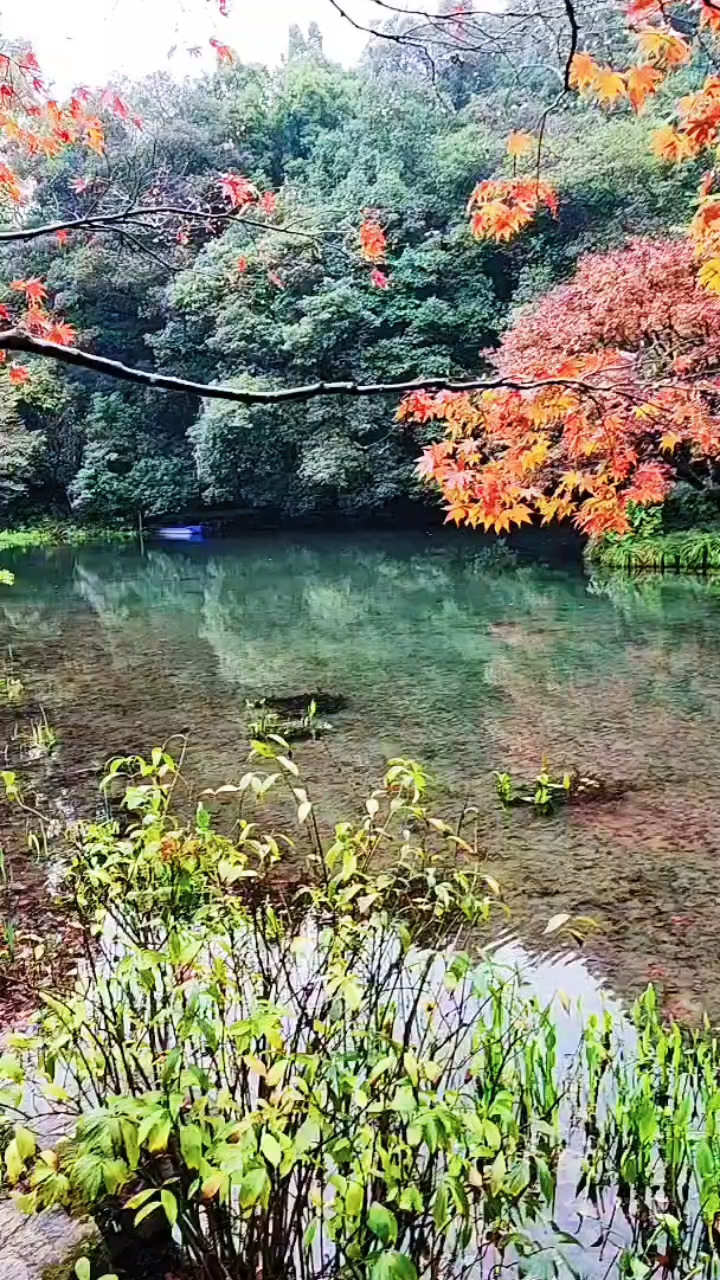 探索美不胜收的深邃意境,深邃意境中的美不胜收探索