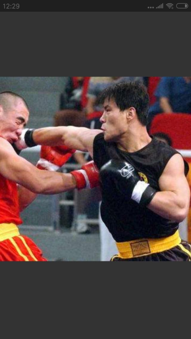 高手王中王资料打一肖——揭秘背后的故事与真相，揭秘高手王中王资料背后的故事与真相，揭秘生肖预测真相