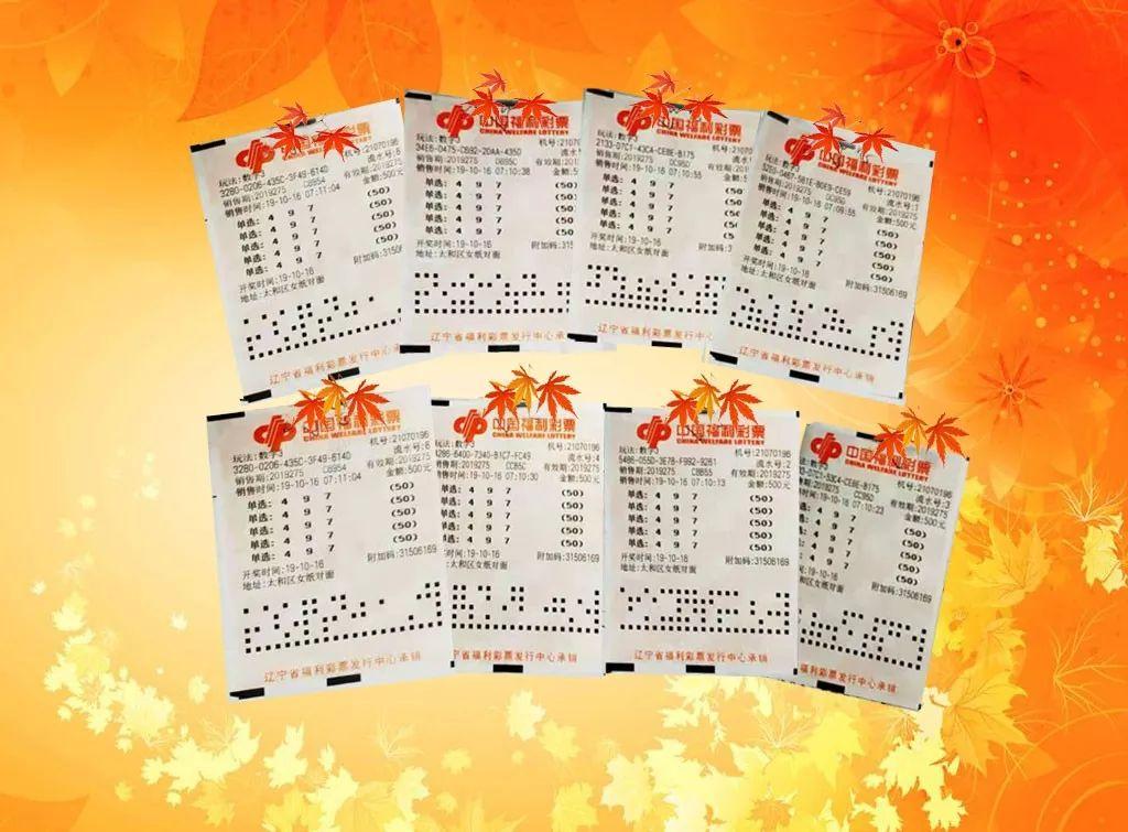 探索未来,关于香港港六开奖结果的深度解析(2025年展望),深度解析香港港六开奖结果,展望未来(2025年展望)